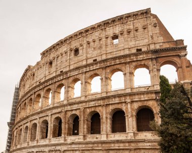 Roma İtalya. Roma İmparatorluğu 'nun gladyatörleriyle ünlü Colosseum' un dışı dünyanın yeni yedi harikasına eklendi. Tipik mimari kemer ve frizlerin ayrıntıları.