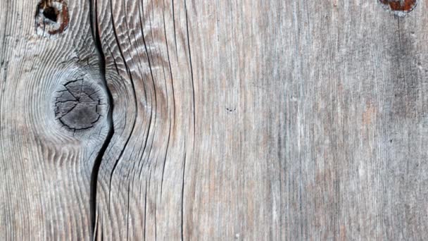 Türverkleidung Aus Lackiertem Holz Eines Landhauses Italien Erodiert Abgenutzt Und — Stockvideo