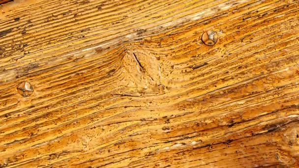 Dveřní Panel Natřeného Dřeva Venkovského Domu Itálii Narušený Opotřebovaný Zabarvený — Stock video
