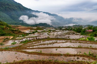 Pirinç tarlası terasları. Bulutlardaki dağ manzarası. Sapa, Lao Cai Eyaleti, Kuzeybatı Vietnam