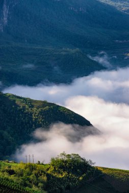 Pirinç tarlası terasları. Bulutlardaki dağ manzarası. Sapa, Lao Cai Eyaleti, Kuzeybatı Vietnam