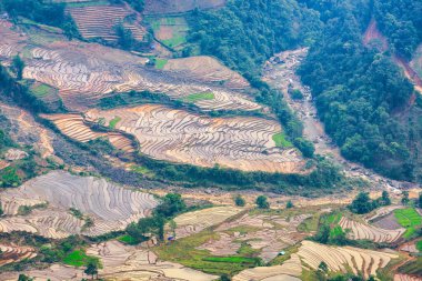 Vietnam 'ın Y Ty, Bat Xat, Lao cai eyaletinde su çekme mevsiminde güzel bir teraslı pirinç tarlası.