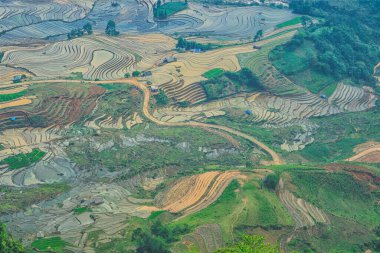 Vietnam 'ın Y Ty, Bat Xat, Lao cai eyaletinde su çekme mevsiminde güzel bir teraslı pirinç tarlası.