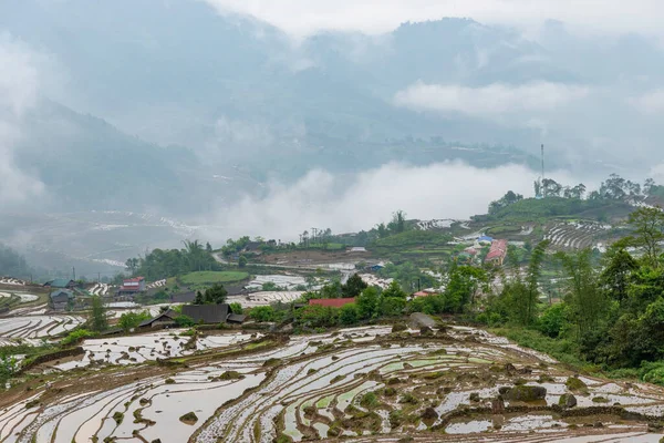 田んぼのテラス 雲の中に山の景色 ラオス蔡州 ベトナム北西部 — ストック写真