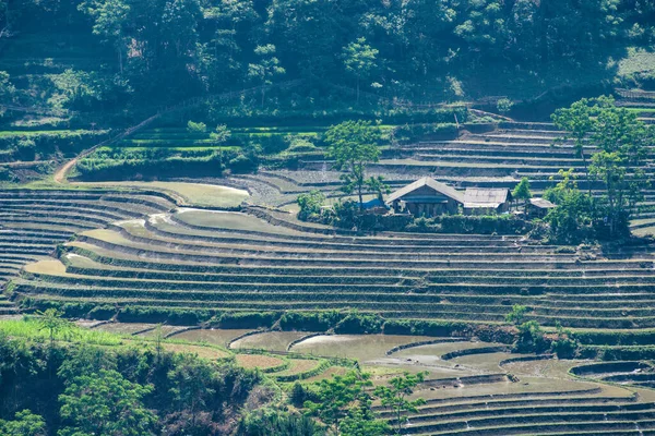 Beauty Rice Terraces Muong Hum Lao Cai Vietnam — Stock Photo, Image