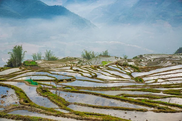 Pirinç tarlası terasları. Bulutlardaki dağ manzarası. Sapa, Lao Cai Eyaleti, Kuzeybatı Vietnam