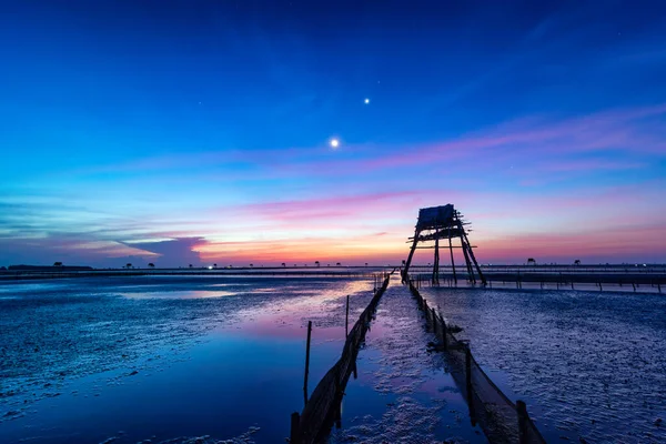 Sabah Dong Chau Sahili, Tien hai bölgesi, Tayland Binh eyaleti, Vietnam 'ın en büyük deniz tarlalarından biri..
