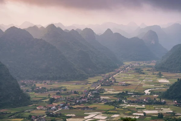 Rizs Mező Betakarítási Idő Bac Son Valley Lang Son Vietnam — Stock Fotó