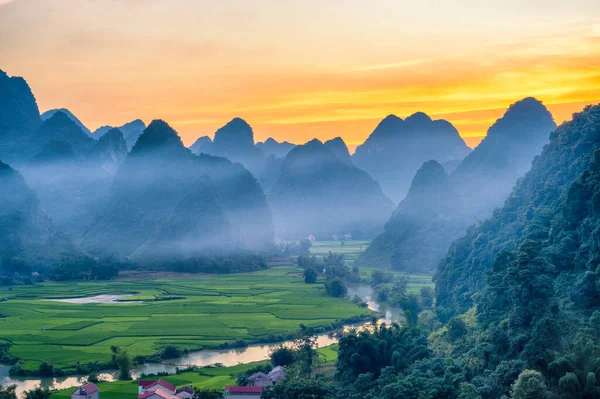 Schöne Stufe Der Reisterrasse Paddelfeld Sonnenuntergang Und Morgendämmerung Bei Trung — Stockfoto