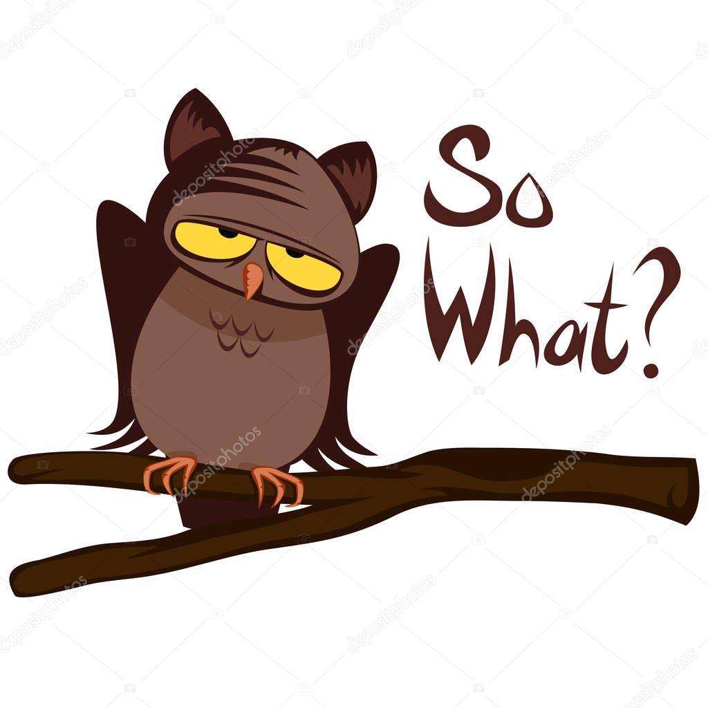 Funny Owl - So what?