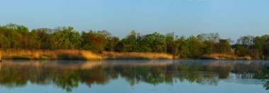 Mistik Sisli sabah nehir sabah erken sazlık sis sis ve su yüzeyi Nehri üzerinde