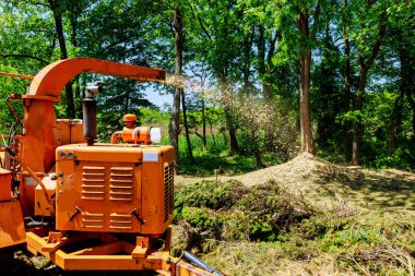 Bir ağaç biçicinin veya fiş bir çitin üzerinden çekim mulcher landscapers ağaç biçicinin eylem kullanarak yakalar.