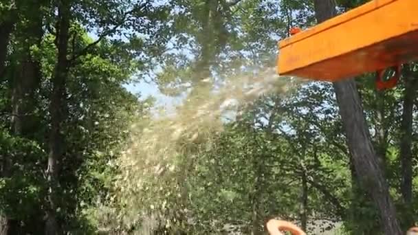 Poplar trunks grinding machine to become chip Wood chipper is ready to be use — Stock Video