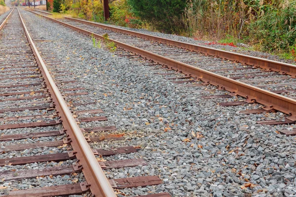 Trilhas ferroviárias em uma floresta rural com nuvens brancas. Linhas ferroviárias vazias a ir para o horizonte. Dois de estrada. Cena ao ar livre em  .     . — Fotografia de Stock