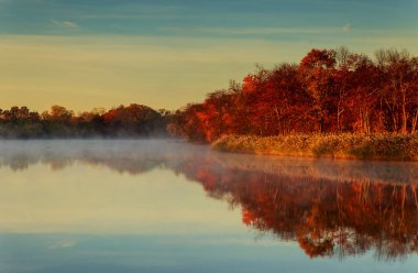 Göl plansee renkli sonbahar ağaçları ile sabah sis