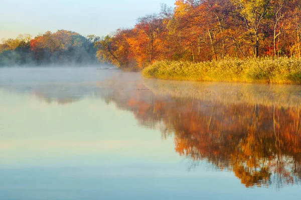 가을 숲에 강 안개 — 스톡 사진