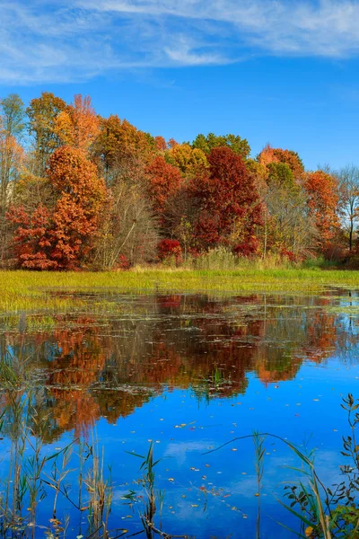 Herbstlandschaft. mit buntem Wald. — Stockfoto