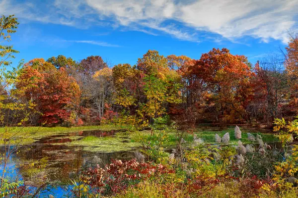 Herbstlandschaft. die leuchtenden Farben im See. — Stockfoto