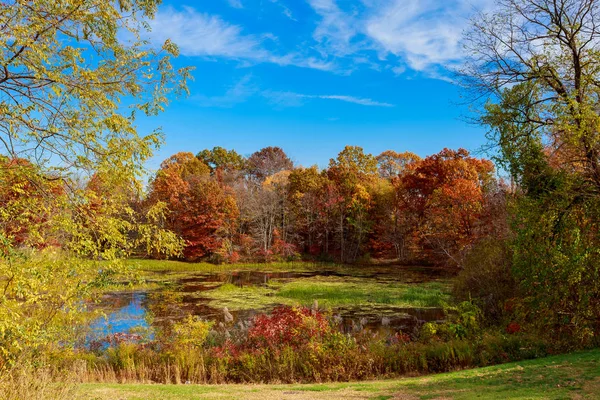 Herfst landschap. De felle kleuren in het meer. — Stockfoto