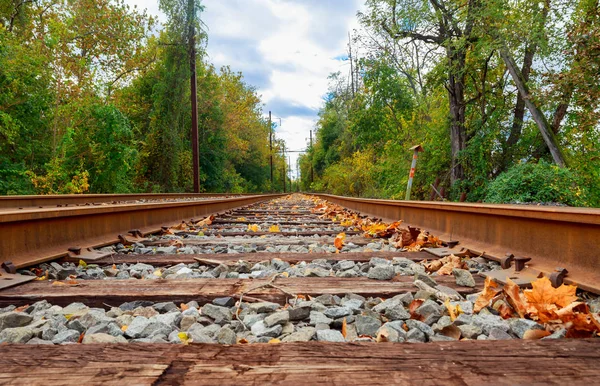 Ferrovia para horizonte no outono — Fotografia de Stock