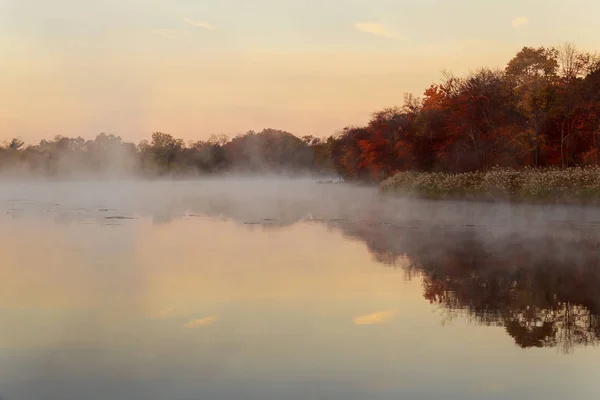 Brouillard sur la rivière en forêt à l'automne — Photo