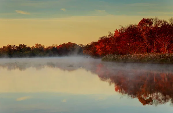 Tåke over elv i skog om høsten – stockfoto