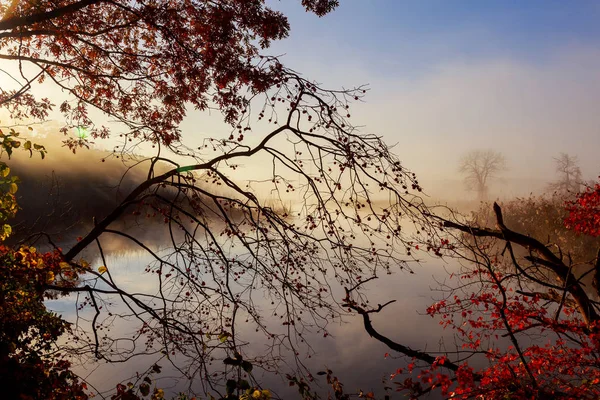 Ομίχλη του ποταμού το πρωί του καλοκαιριού — Φωτογραφία Αρχείου