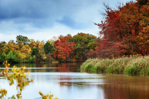 Herbstlandschaft Park Mit Fluss Und Blauem Himmel — Stockfoto