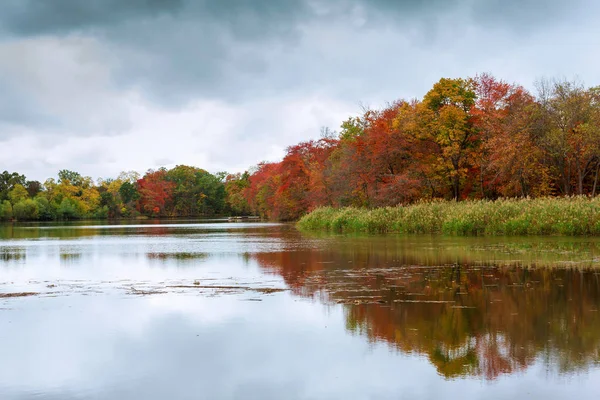 Bunte Herbstbäume Auf Dem See Herbst Wald Fluss Wasser — Stockfoto