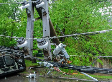 trafo elektrik direkleri ve güç hatları üzerinden bir yol üzerinde kasırga sonra döşeme bir ağaç