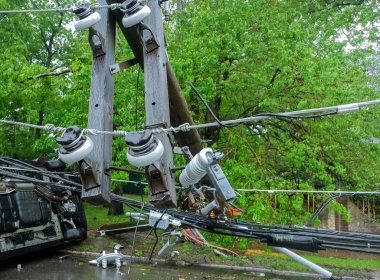 transformer on a electric poles and a tree laying across power lines over a road after Hurricane clipart