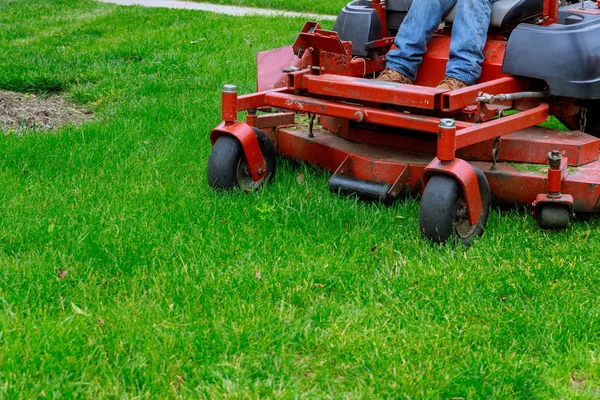 Landskapsarkitektur Professionell Trädgårdsmästare Med Stort Klipparen Klippa Gräset — Stockfoto