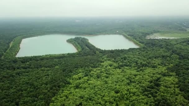 Drone légifelvételek, tavak és erdő, előre repül. A légi felvétel a gyönyörű táj — Stock videók