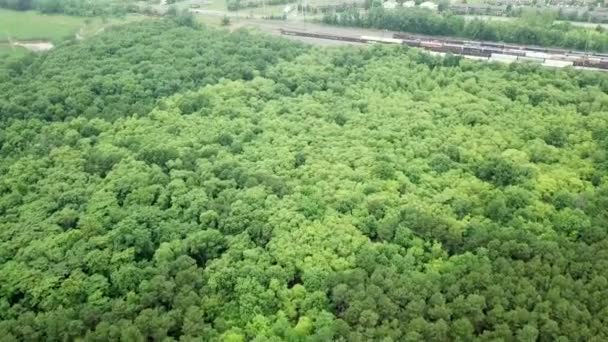Aerial View. Flight over a green forest, — Stock Video