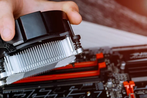 Mani Del Tecnico Installano Ventilatore Del Dispositivo Raffreddamento Della Cpu — Foto Stock