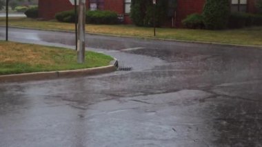 Kaldırım yağmur damlaları düşmeye yağmur damlaları yolda düşer. Yere düşen yaz yağmur damlaları.