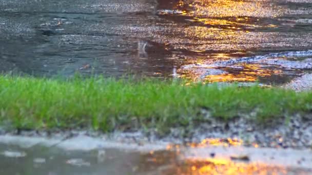 Close-up shot van hevige regen op weg regendruppels op het asfalt — Stockvideo