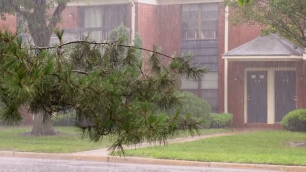 Heftiges Gewitter mit Starkregen knickt Bäume in Wohngebiet um — Stockvideo