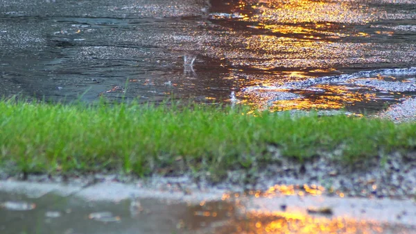 Regendruppels Asfalt Close Opname Van Zware Regenval Weg — Stockfoto