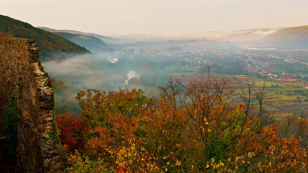 Niebla Que Cubre Los Bosques Montaña Ucrania Niebla Matutina Las —  Fotos de Stock