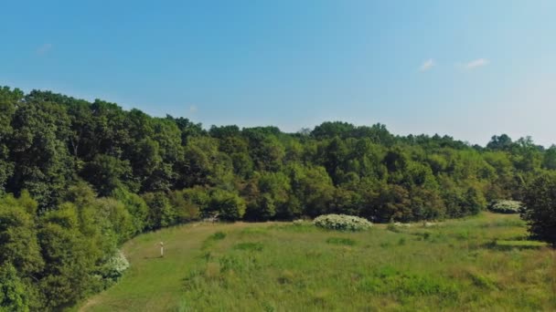 Повітряне панорамне відео безпілотника, вид на пташиний ліс з зеленими насадженнями різного віку і висоти. Відео роздільної здатності 4K . — стокове відео