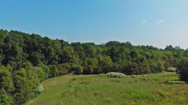 Panoramatické video ze hukot, ptačí pohled do lesa s zeleným výsadby různého stáří a výšky. rozlišení 4 k video. — Stock video