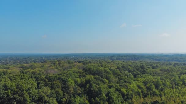 Schoonheid van de park natuur, drone weergave. Verbazingwekkende landschap van zomer park, drone weergave. — Stockvideo