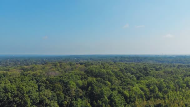 Beauté de la nature du parc, vue sur les drones. Paysage incroyable du parc d'été, vue sur drone . — Video