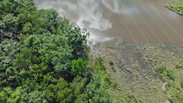 Flygfoto över floden och skogen, textur bakgrund av floden och skogen. — Stockvideo