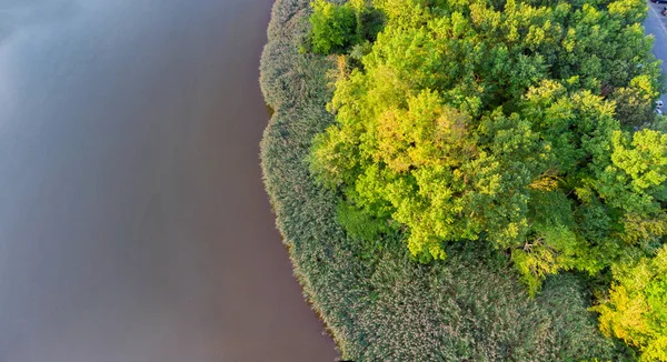 Grön Skog Träsk Och Små River Fångas Från Ovan Med — Stockfoto