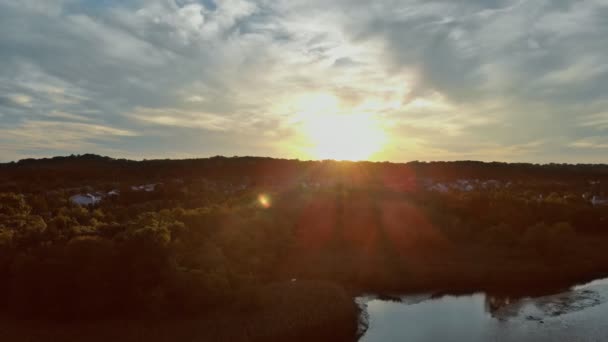 Gezien vanuit de lucht, de mooie tuin of het park met bomen rivier — Stockvideo