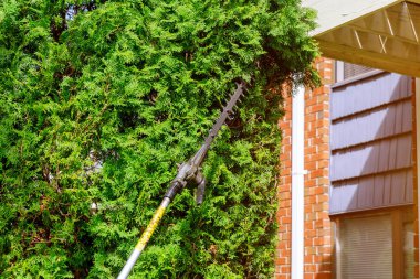 Bahçe bitkileri kırparak çalılar süs için çit makası kullanarak