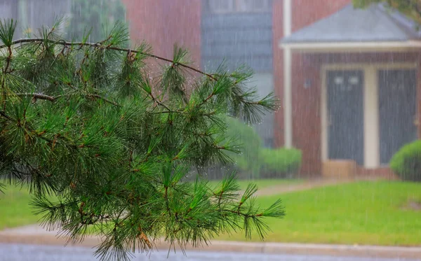 市では 強力な突風小雨の中の木の重い雨 — ストック写真