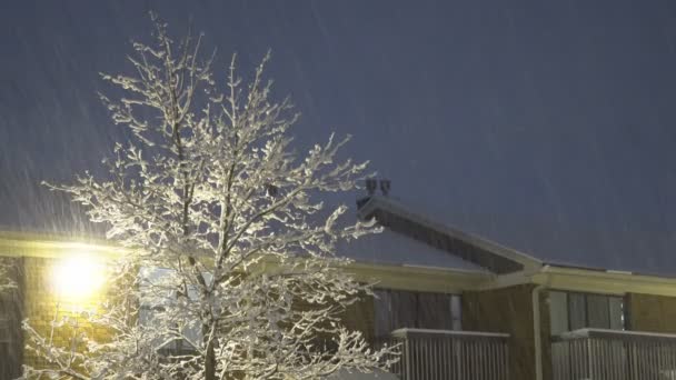 Улица маленького городка с зимним ночным снегопадом — стоковое видео